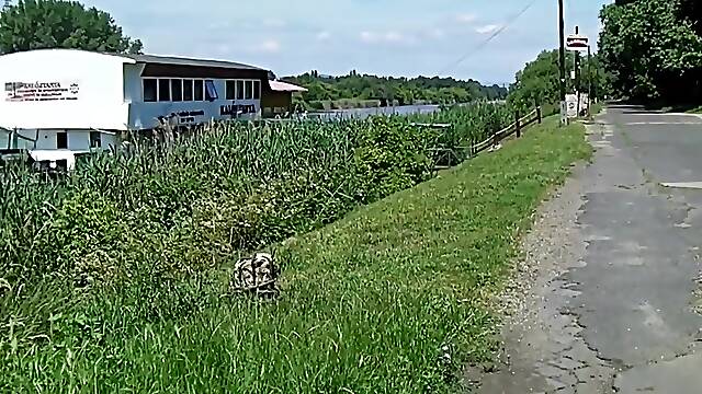 2017 Baise, Gitanne, Grosse Gitane