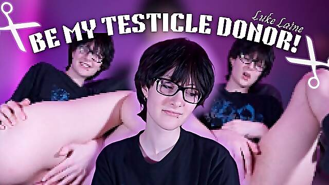 Be My Testicle Donor
